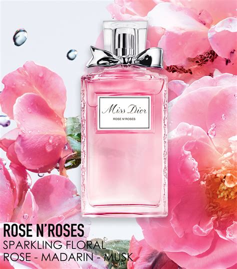 dior rock n roses|miss dior rose n'roses 50ml.